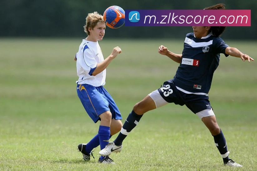 App Interface Preview